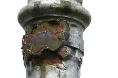 Biggleston-number-collars1