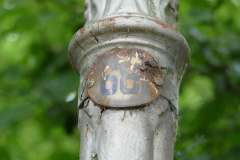 Biggleston-number-collars2