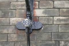 Biggleston-number-collars5