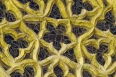 Cinquefoil1