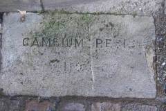 Cozens-Paving-Stones5