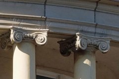Ionic-Capital-6