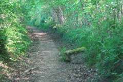 Miscellaneous-Stones1