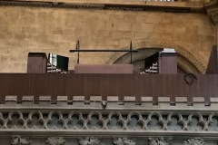 Organ5