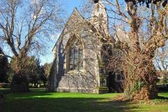 Oriental-Plane-Trees11