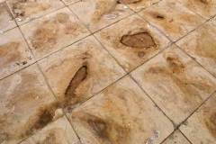 Portland-Stone4