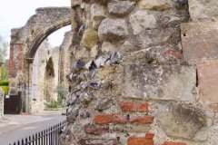 Thanet-Sandstone5